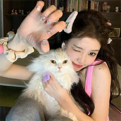 贺先生又在哄他的白月光了